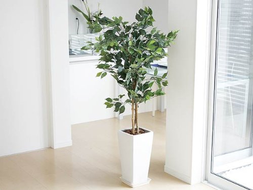 Amazon｜人工観葉植物 ベンジャミン ロングスクエア陶器鉢 フェイク